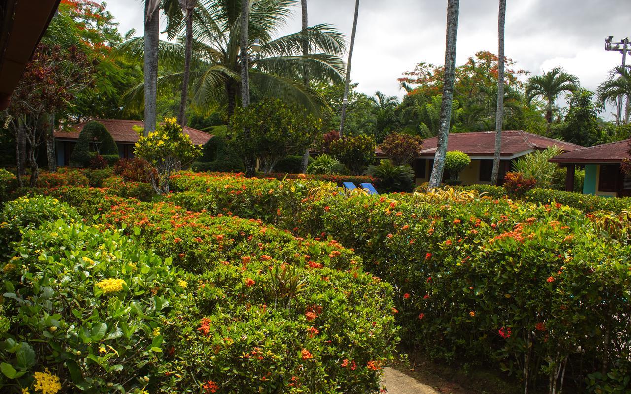 Hotel Palococo Las Terrenas Exterior foto